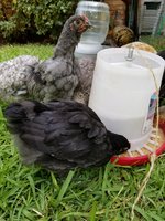 20180726_103255.jpg