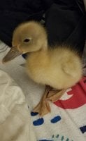 20180726_233407.jpg