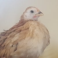 20180727_111115.jpg