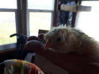20180727_141924.jpg