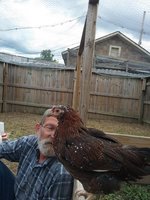 20180727_173817.jpg