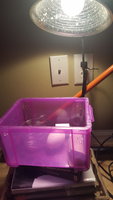 20180727_162537.jpg