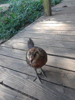 20180727_160739.jpg