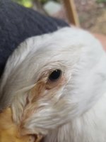 20180727_201657.jpg