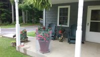 IMG_20180725_090955.jpg