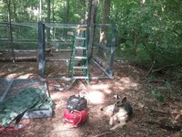 20180728_164355.jpg