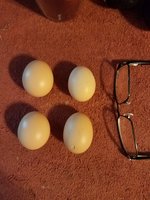20180729_092756.jpg