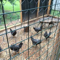 IMG_0378.JPG