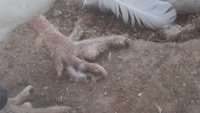 20180729_200521.jpg