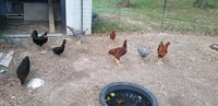 20180729_194304.jpg 20180729_194304.jpg