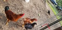 20180729_180921.jpg 20180729_180921.jpg
