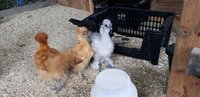 20180729_185928.jpg