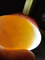 E578D86B-136C-470D-9EEB-B085646BF77F.jpeg