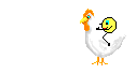 chicken riding.gif
