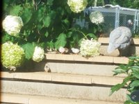 20180730_091859.jpg