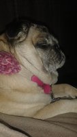 20150119_170415.jpg