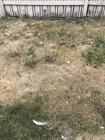 C769DA4D-4E0B-4CEC-861F-2697E348EBDB.jpeg