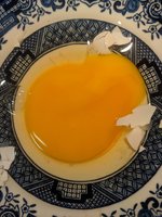 IMG_20180731_124819.jpg