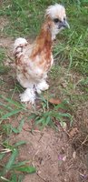 20180726_202527.jpg