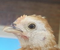 20180731_120615.jpg