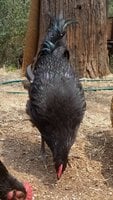 20180731_124026.jpg