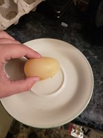 20180731_210424.jpg