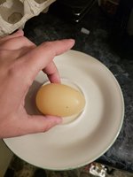 20180731_210414.jpg