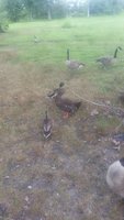 20180801_105350.jpg