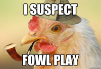 chicken1.jpg