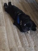 IMG_20180516_182506438_BURST005.jpg
