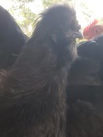 20180801_194200.jpg