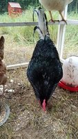 20180802_090537.jpg