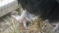 20180731_185148.jpg
