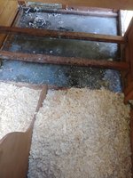 20180802_140434.jpg