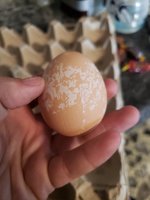 20180802_173903.jpg