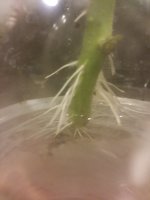20180722_211615.jpg