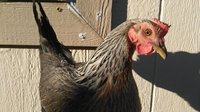 IMG_20170302_163017.jpg
