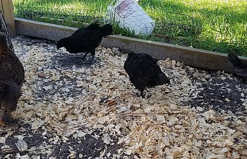 20180803_165512.jpg