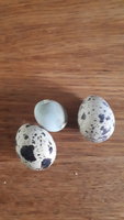 20180804_075751.jpg