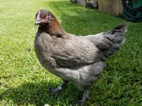 20180804_105407.jpg
