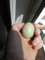 20180804_130648.jpg