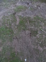DSCN7254.JPG