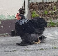 20180803_105652.jpg