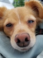20180804_175911.jpg