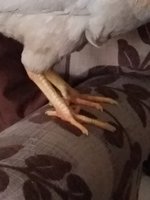 20180805_165540.jpg