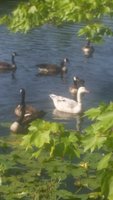 20180805_091602.jpg