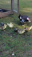 20180805_092810.jpg