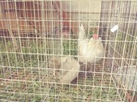 0805181630_Film4.jpg