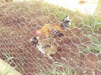 0805181601_Film4.jpg