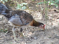 DSCN7282.JPG